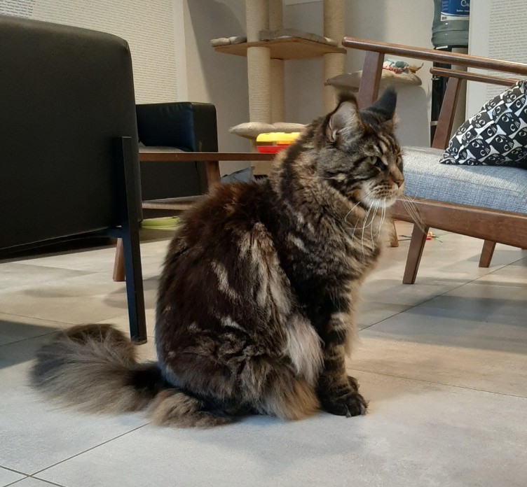 Chris_de_Kater_1